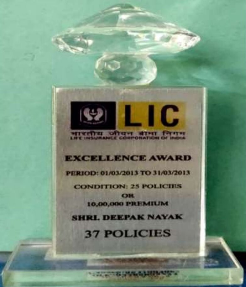 Excellence Award 2013